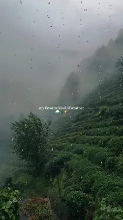 rain