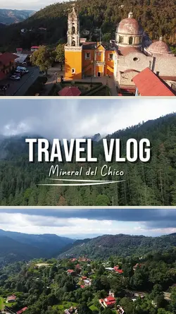 Travel Blog - Bosque