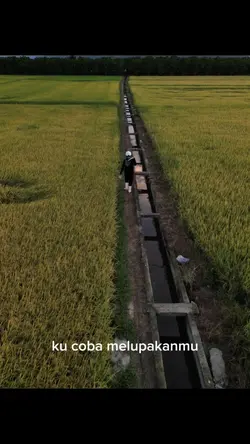 tak pernah ku coba
