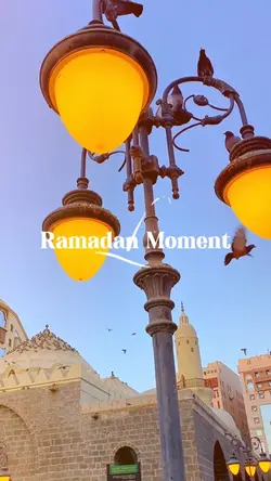 Walbi fil madina