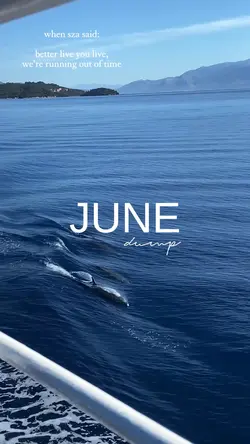 June dump 2025