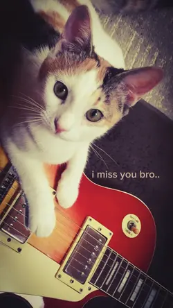 i miss you bro