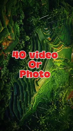 40 video or photo 