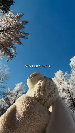 Winter's Back