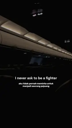 a fighter