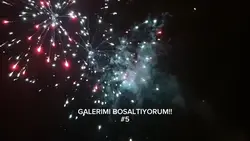 havai fisek