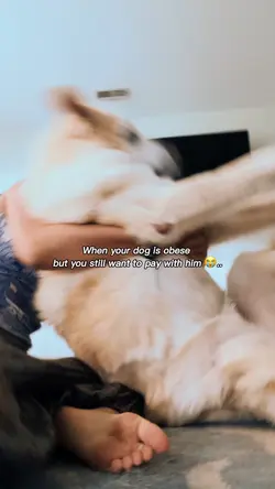 😭 