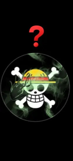 PP one piece 