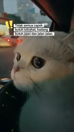 jajan dan jalan