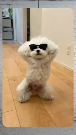 dance trend