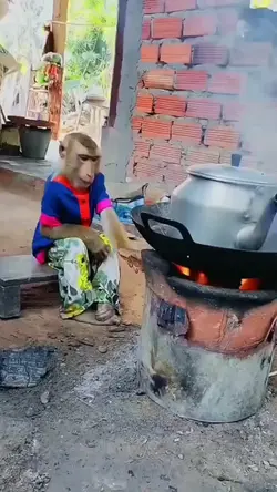 Masak dulu