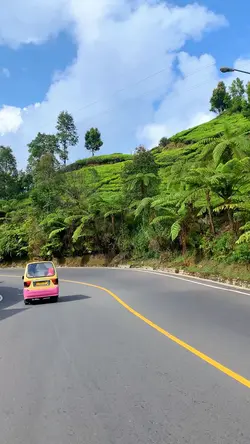 Bawalah Pergi