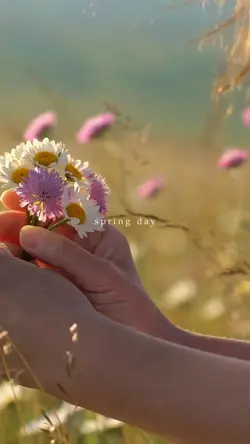 Spring day