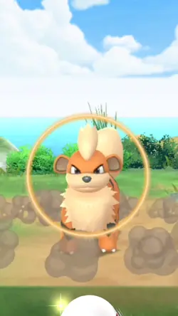 Pokemon Growlithe