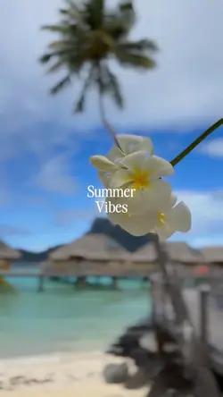 Summer Vibes