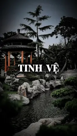 TINH VỆ HÍ BẢN