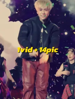 1vid + 14pic