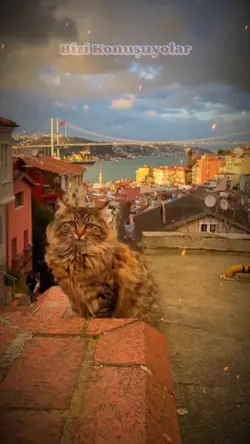 Bizi Konuşuyorlar>! 