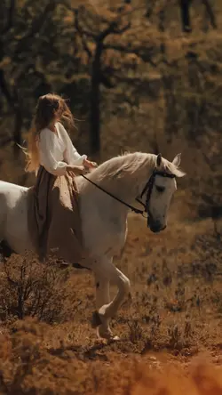 Golden Brown vibe