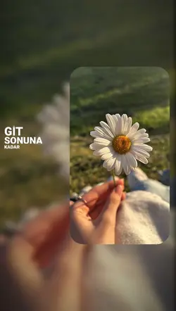 Yeni Şablon