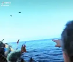 Ovni 