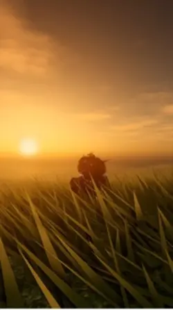 Trend Sunset Roblox