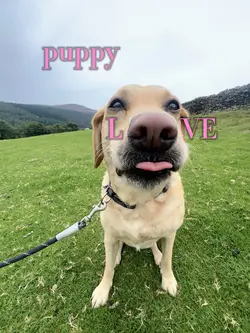 puppy love!! 