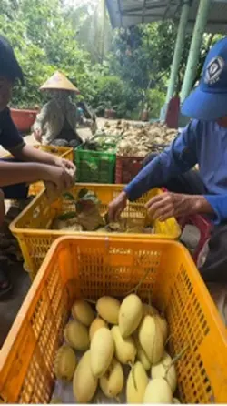 khong cần bằng cấp