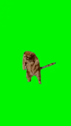 Dancing Cat