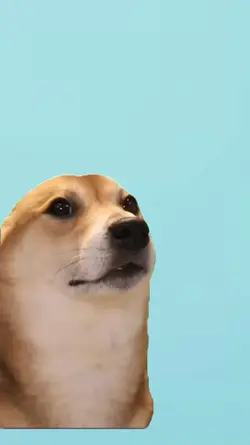 dancing dog 