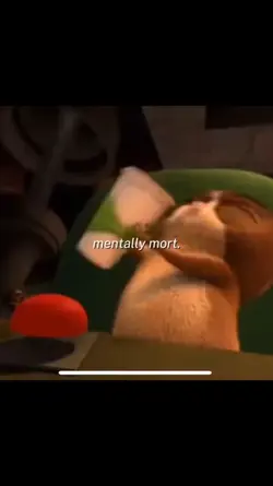 MOrt-