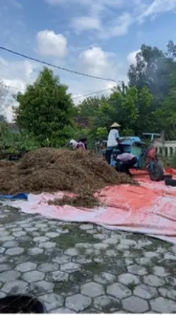 Panen kedelai