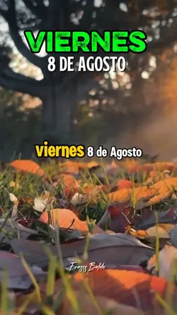 Viernes 8 de Agosto