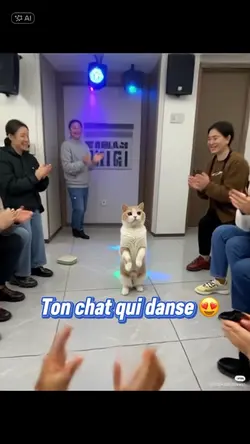 Ton chat danse 💖