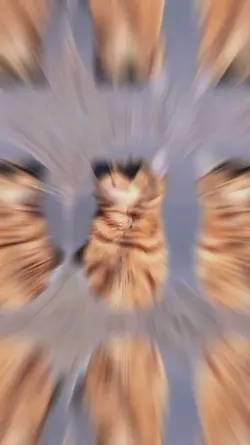 Merk rokokmu opo lur
