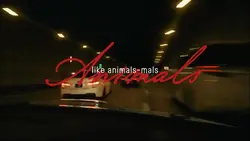 ANIMALS II