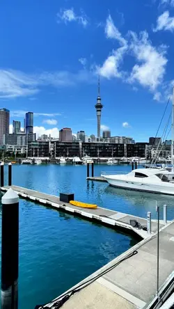 My City 