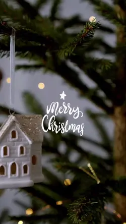 Christmas 2024