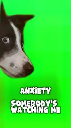 Anxiety