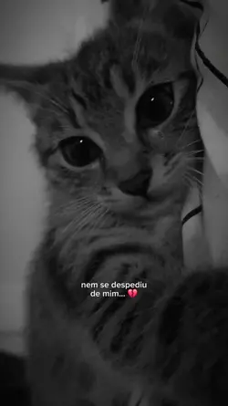nem se despediu
