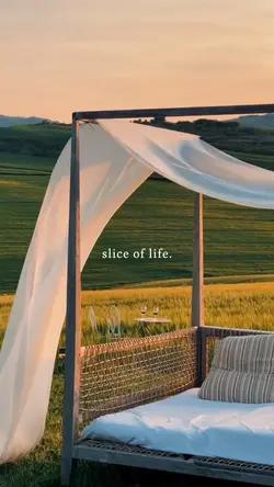 Slice Of Life 