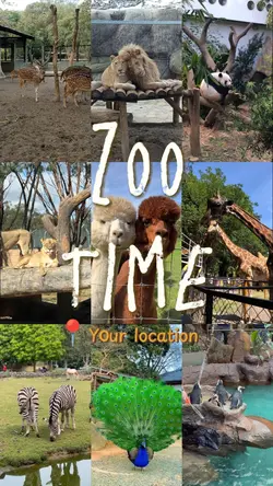 zoo time