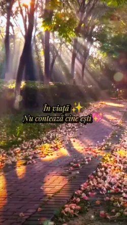 Tinerețe nu pleca