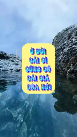 Mẫu truyền động lực