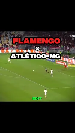 Galo classificado