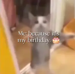It's my birthday!!