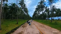Rides +View= Solid
