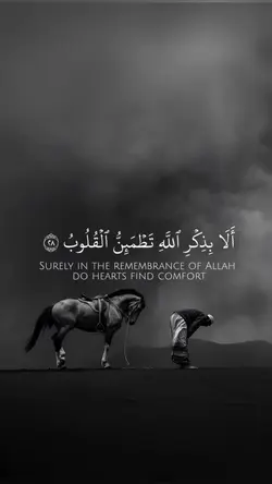 Surah ra’ad 28-29