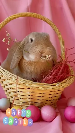 easter bunny