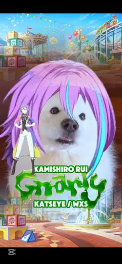 GNARLY RUI WXS